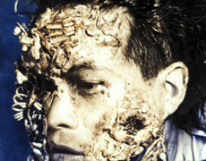 melt movie, body horror, horror biologico, film di Cronenberg