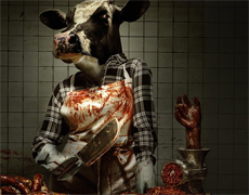 natural horror, horror naturale, film horror con animali, horror con la natura, animal horror