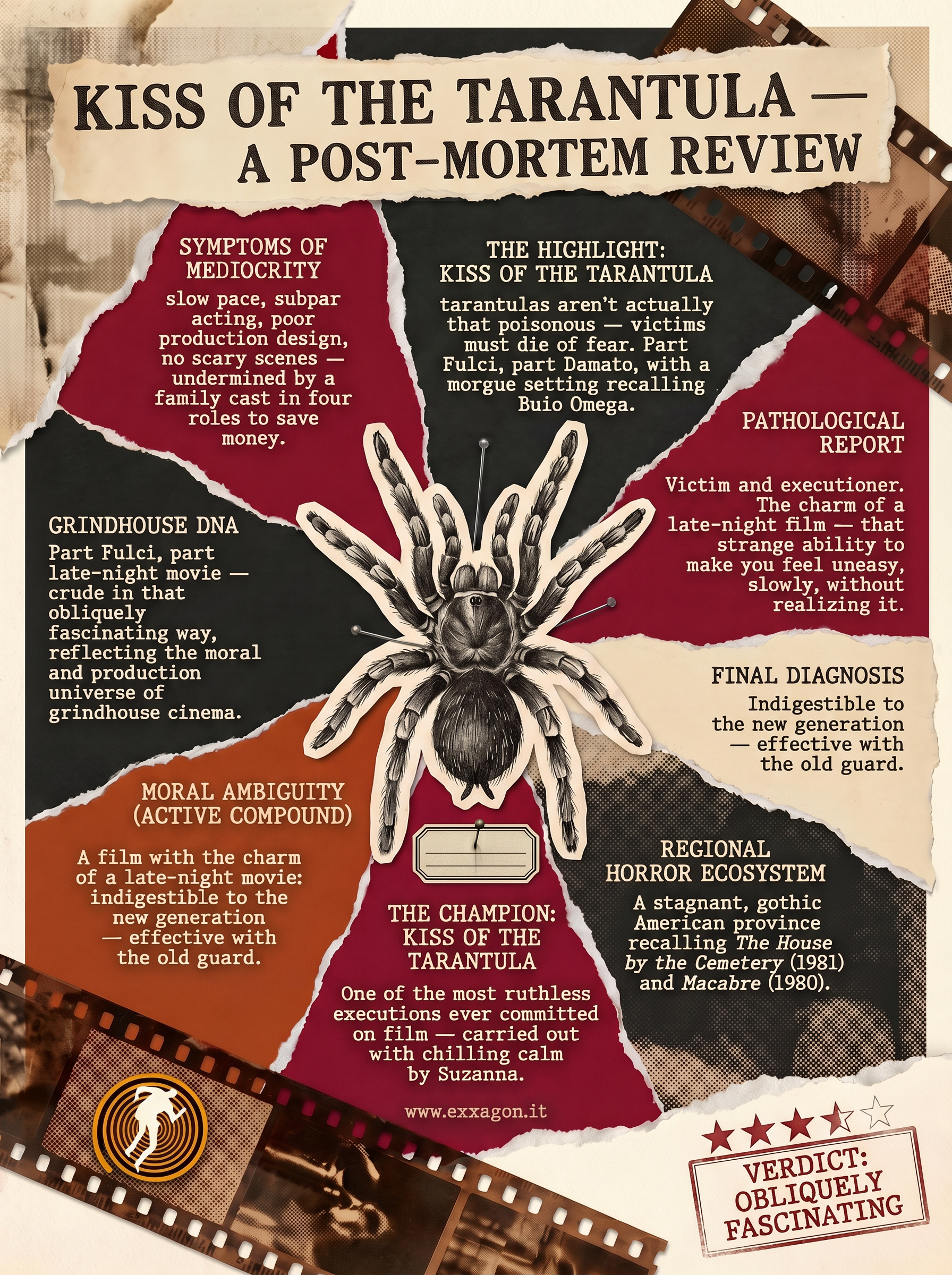 My review in a glimpse: graphic synthesis of the review of the movie Kiss of the Tarantula