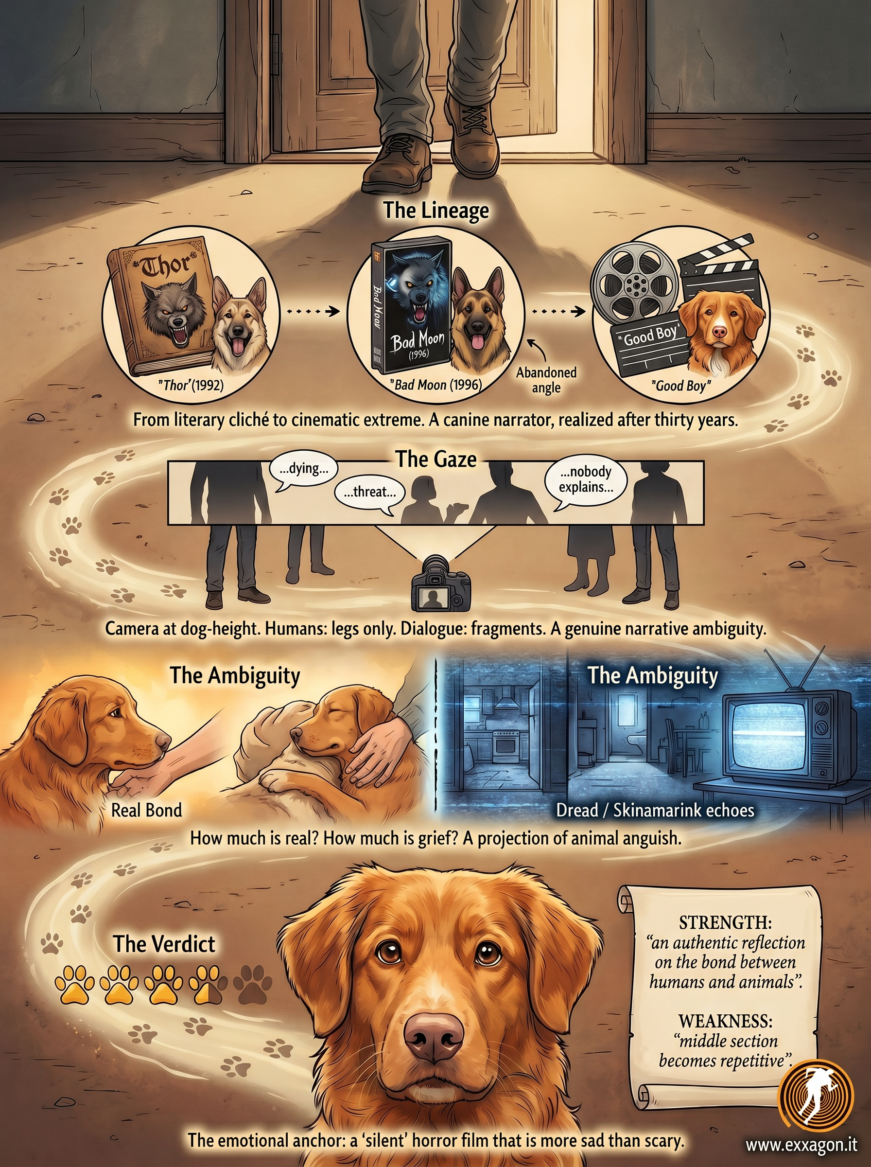 A concise, visual summary of a movie. In a nutshell, my review is a visual summary of the film Good Boy