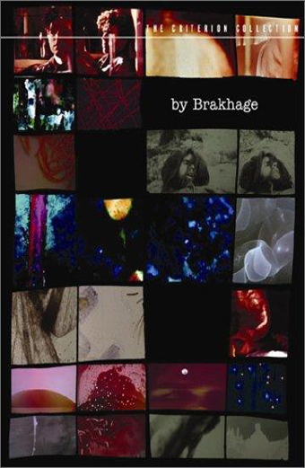the Act of seeing with one's own eyes, 1971, Stan Brakhage