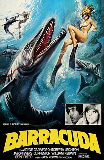 Locandina del film Barracuda 1977 che mostra una donna in bikini e maschera da sub che nuota sott'acqua mentre un grande barracuda dai denti affilati si lancia verso di lei, circondata da altri barracuda in una scena oceanica tesa e drammatica. La locandina presenta testo giallo in grassetto con scritto BARRACUDA e i crediti per Wayne Crawford, Roberta Leighton, Jason Evers, Cliff Emich, William Kerwin, Bert Freed, regia di Harry Kerwin, Technicolor. Il tono emotivo è di suspense e minaccia.