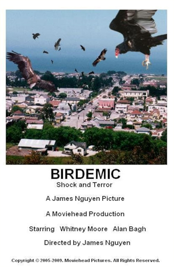 Birdemic: Shock and Terror 2008, James Nguyen, trash film