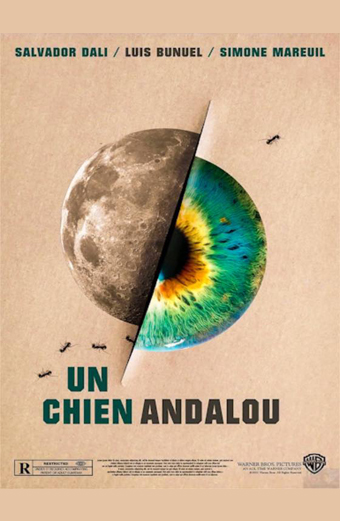 un Cane andaluso, surrealismo, Luis Bunuel, chien andalou, film del 1929