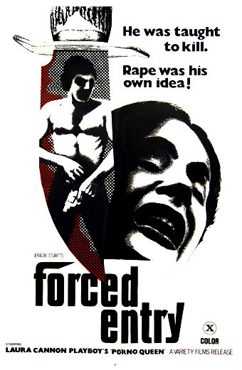 Locandina del film Forced entry