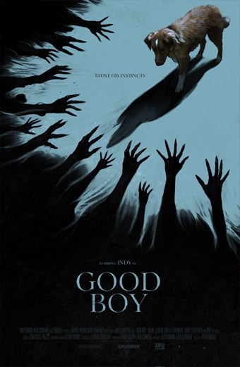 Locandina del film Good Boy