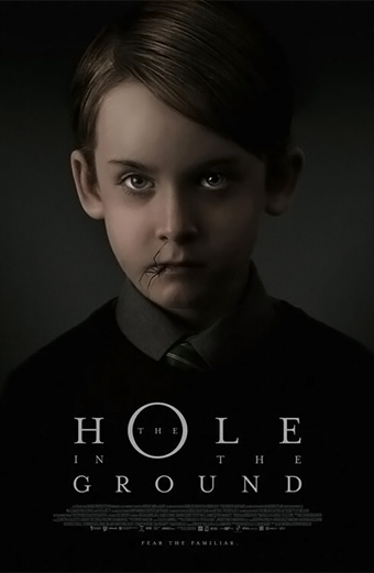 Hole abisso horror, the hole in the ground, Lee Cronin, Seana Kerslake, James Quinn Markey