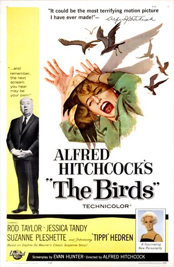 Locandina del film gli Uccelli 1963 diretto da Alfred Hitchcock con una donna spaventata che si protegge dagli attacchi di numerosi uccelli in volo in un cielo caotico. L'atmosfera è tesa e drammatica, trasmette paura e suspense. Sulla locandina sono presenti il titolo gli Uccelli e il nome del regista Alfred Hitchcock.