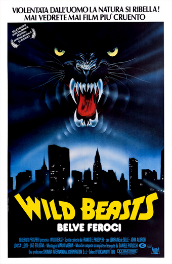Locandina di Wild Beasts Belve Feroci 1983 con una pantera nera minacciosa dagli occhi gialli luminosi e zanne affilate che emerge dalloscurità sopra lo skyline di una città di notte. Latmosfera è intensa e inquietante. In alto si legge Violentata dalluomo la natura si ribella Mai vedrete mai film piu cruento. Il titolo Wild Beasts Belve Feroci è in caratteri gialli in basso.