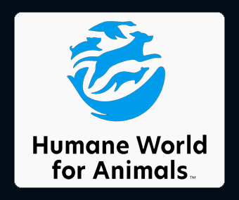 Human World for Animals, donazioni per animali, animali in pericolo, protezione animali, associazione animalista